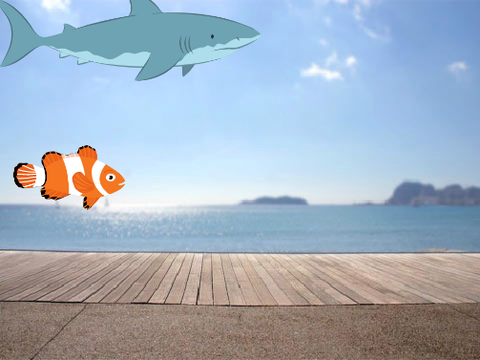 #3.ScratchCat Explores The OCEAN