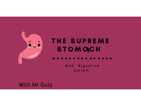 Human Body-Digustive System!