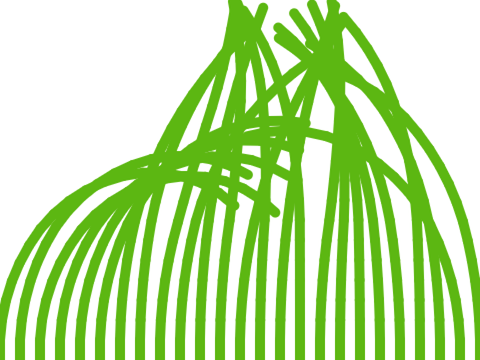 grass