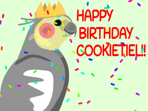 Happy Birthday Cookie!!!