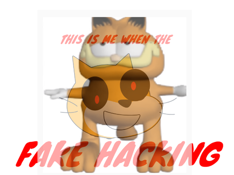 This is me when the fake hacking