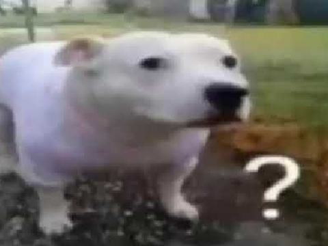 Huh?