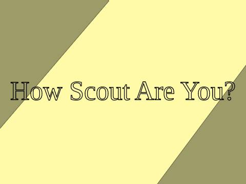 How Scout is I?