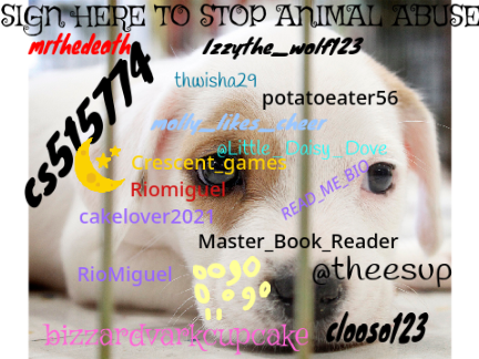 SIGN HERE TO STOP ANIMAL ABUSE  remix remix remix