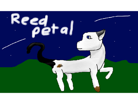 For @Lavender_Art_Studios