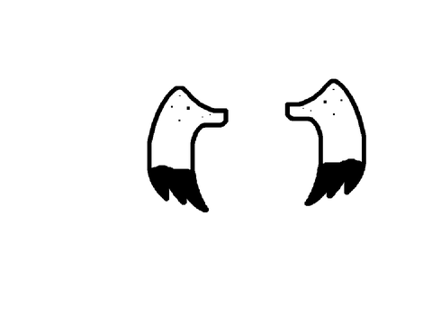 Snowy Owl Wings