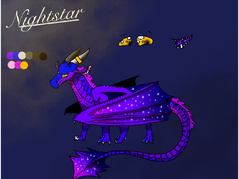 NEW OC!-Nightstar
