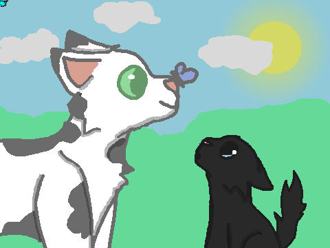 My entry