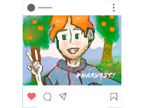 ☆*:.｡. DMCE*:.｡.☆
