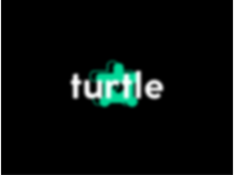 Short Intro for @TheTurtleOfTest