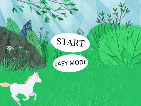 The Unicorn Run