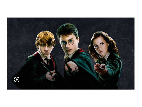 SIGN IF U LUV HARRY POTTER 
