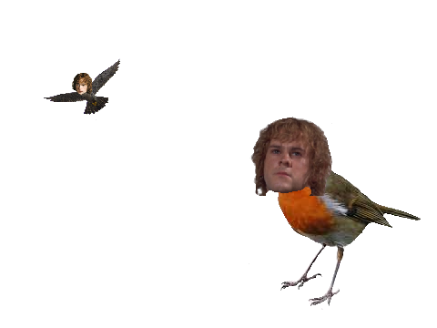 Pippin falcon is flying 