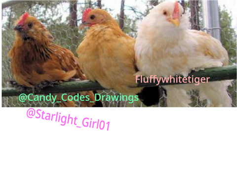 Sign if you love chickens Remix