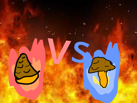 タケノこ派vsキノコ派