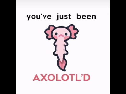 You've just been Axolotl'd #Art remix