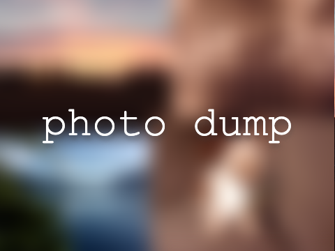 photo dump