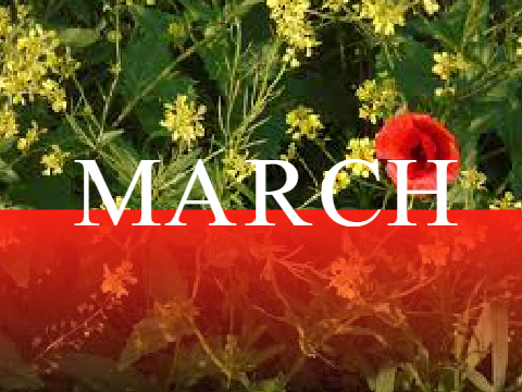 march marches