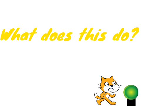 What does this do?