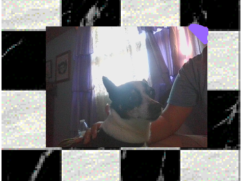 [ Doggo ] 