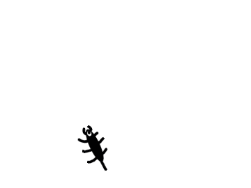Bug Simulator