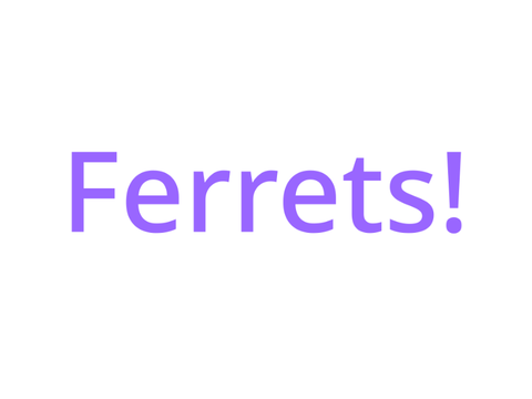 Ferrets!