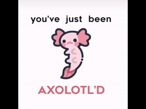 You've just been Axolotl'd #Art remix