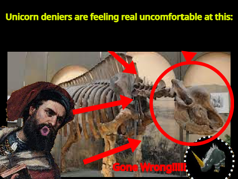 Unicorn deniers be like: