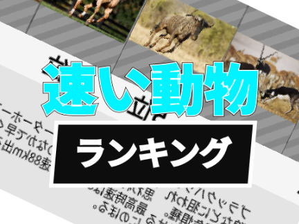 陸上で速い動物ランキング！〈第二弾比較系プロジェクト〉