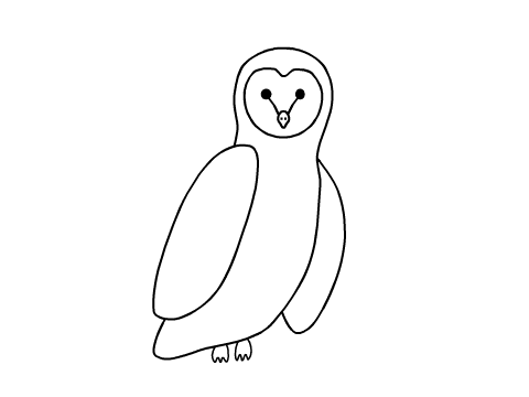 Barn Owl/Animation Attempt