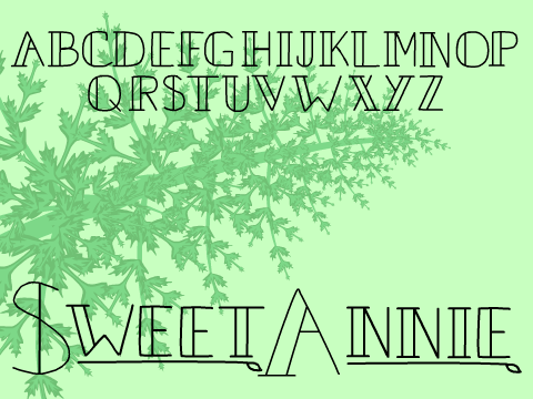 ♡ Sweet Annie ♡