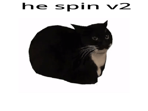Maxwell Cat Spin (V2)