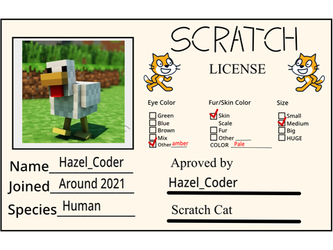 My Scratch License - remix :)