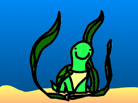 turtle 