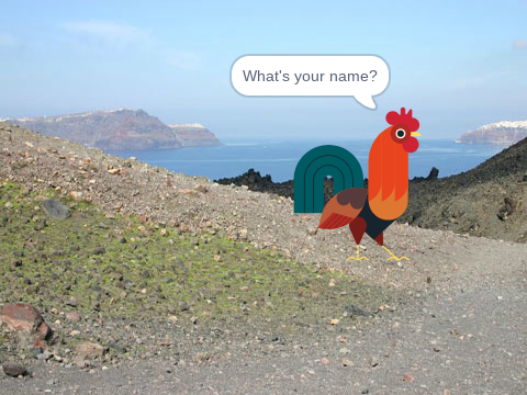 rooster