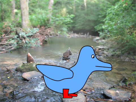 flying duck with boots