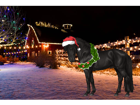random horse fun