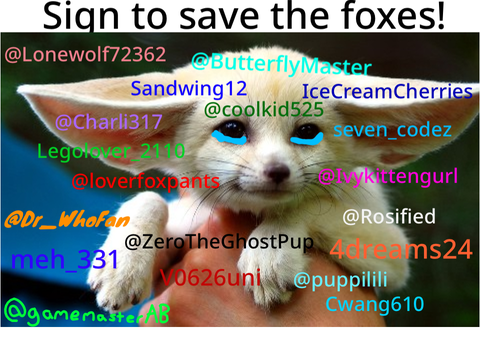 STOP HUNTING FOXES remix remix remix remix remix 7's remix... remix remix remix