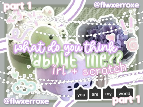 ˗ˏˋ꒰ ✈️┊┊what do you think about me?? - irl + scratch friends ꒱