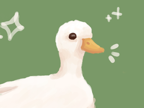 duck