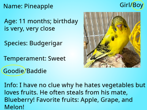 Sign up sheet for my new series!!!!  remix Pineapple