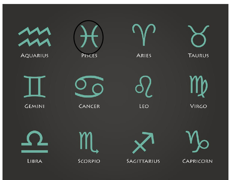 circle your zodiac remix