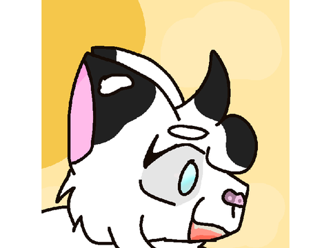 Dtae