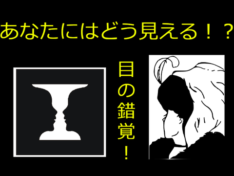 あなたにはどう見える！？目の錯覚！