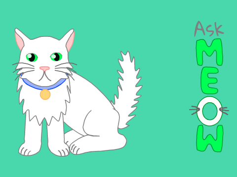 Ask Meow