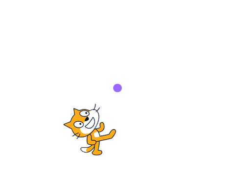 Spining Cat