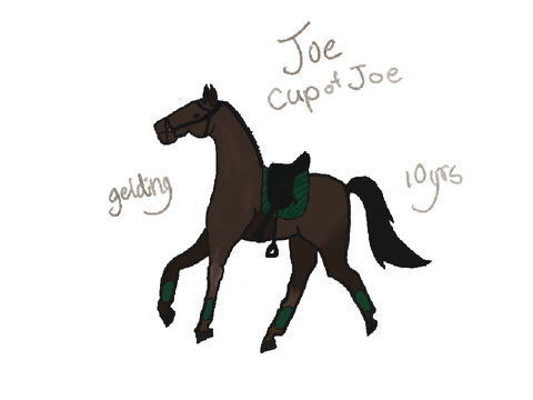 At with June_horse123