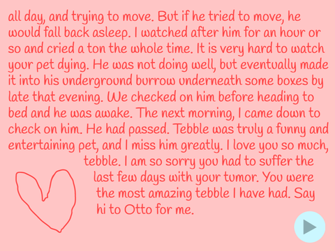 RIP to my gerbil, Ulaany ❤︎ ❤︎