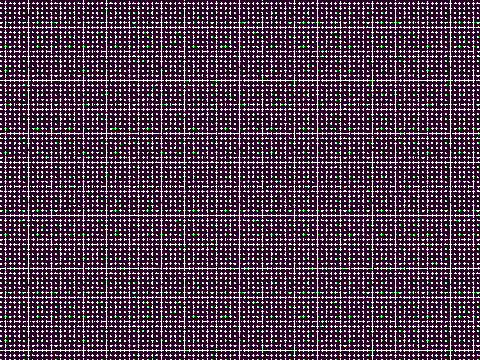 Kitten Generator