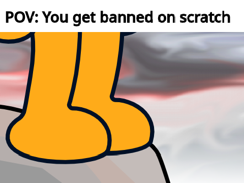 POV: You get banned on scratch